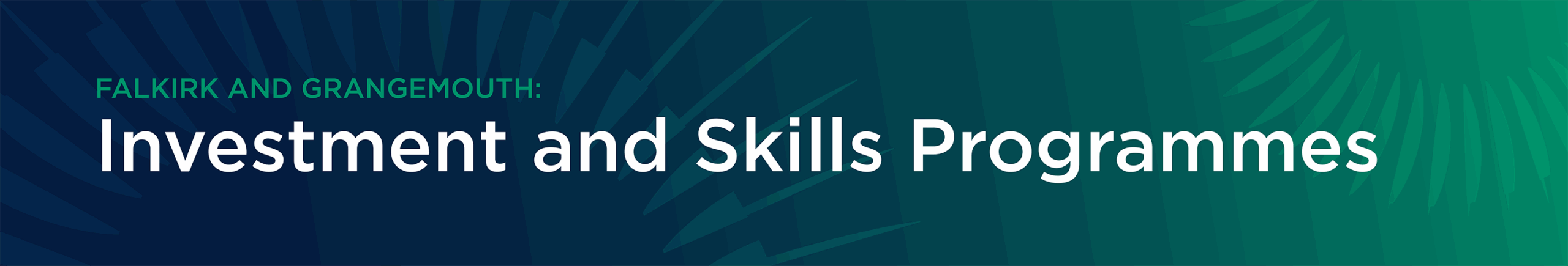 FandG_Investment and Skills